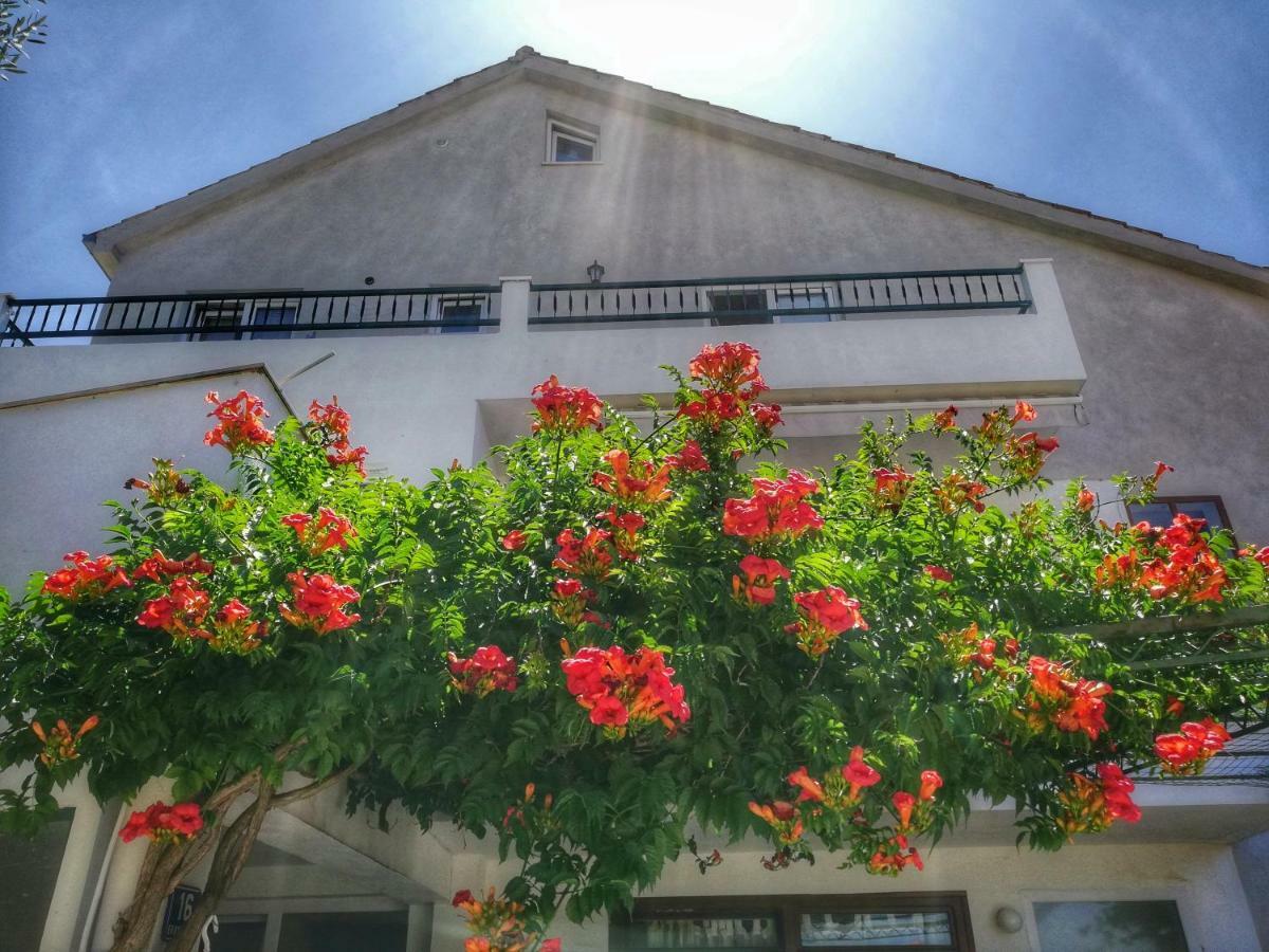 Apartments Jadranka Tučepi Dış mekan fotoğraf