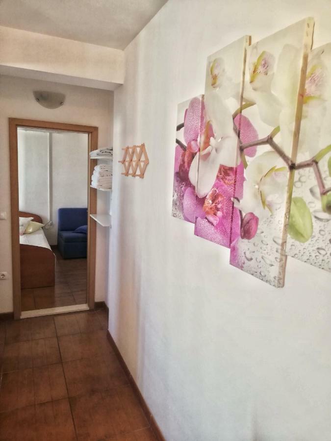 Apartments Jadranka Tučepi Dış mekan fotoğraf